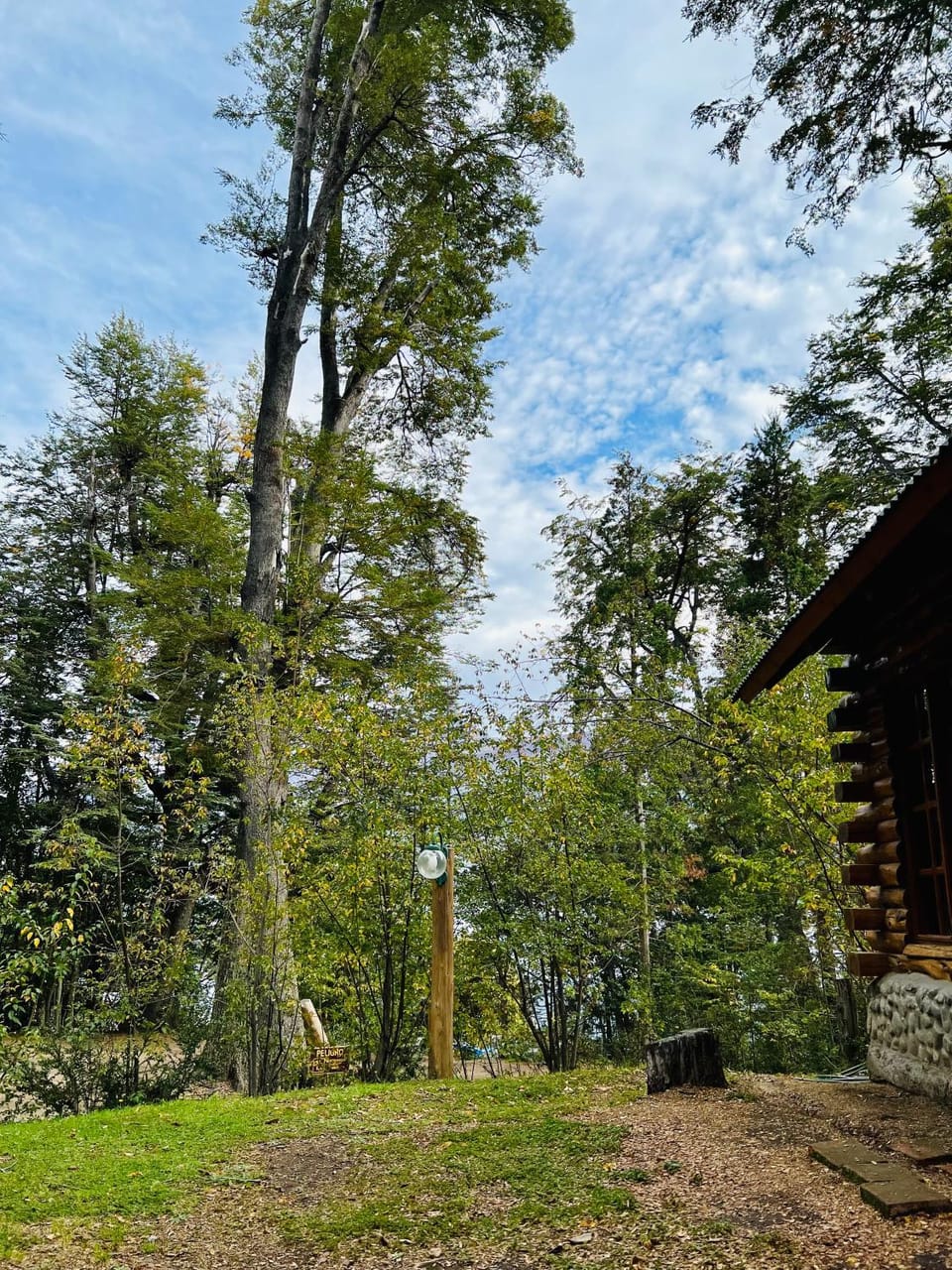 Cabaña en la costa del Lago Futalaufquen - Parque Nacional Los Alerces Villa in Los Lagos, Chile