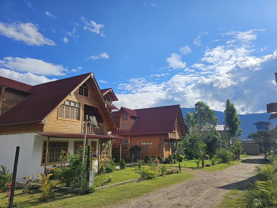 Property building, Spring, Day, Neighbourhood, Natural landscape, Garden, Garden view, Street view