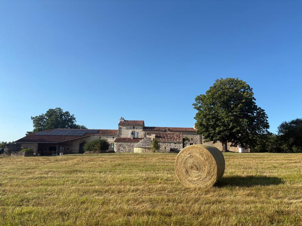 Property building, Day, Natural landscape, Summer, Food and drinks, Cycling, Animals, Food, Pets, Pets, Swimming pool, Alcoholic drinks, Non alcoholic drinks, Seasons, Location, older children, older children, Parking, internet