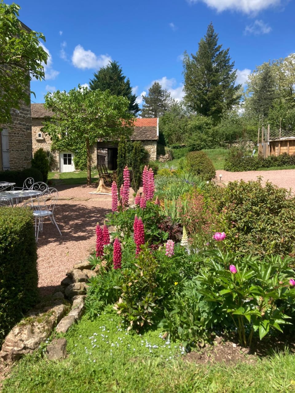 Patio, Garden, Garden view