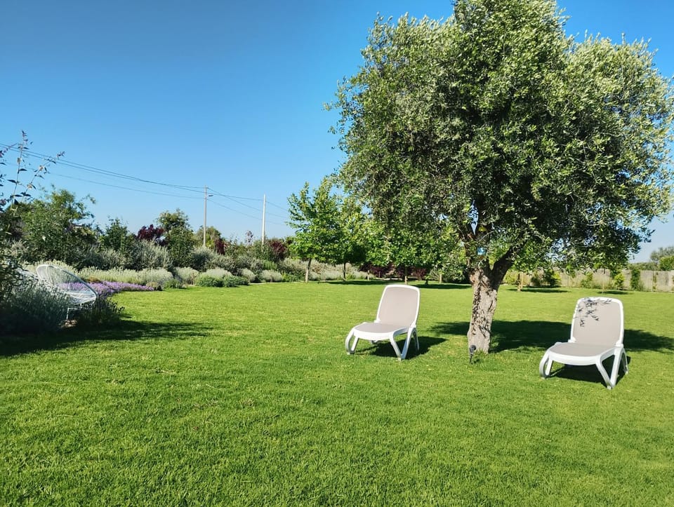 Masseria Ella Bed and Breakfast in Pulsano
