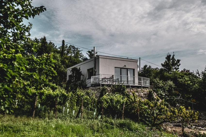 Property building, Garden, Garden view