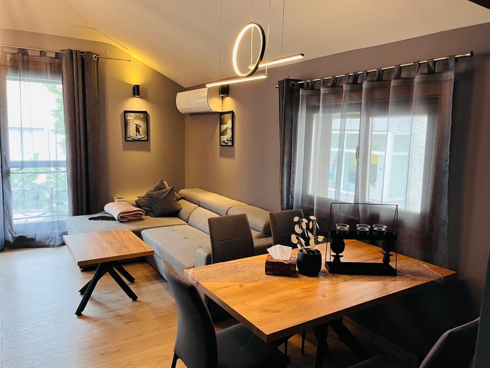 Living room, Seating area, Dining area, air conditioner