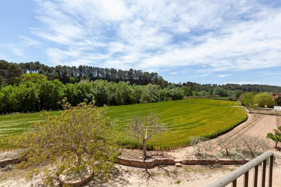 Natural landscape
