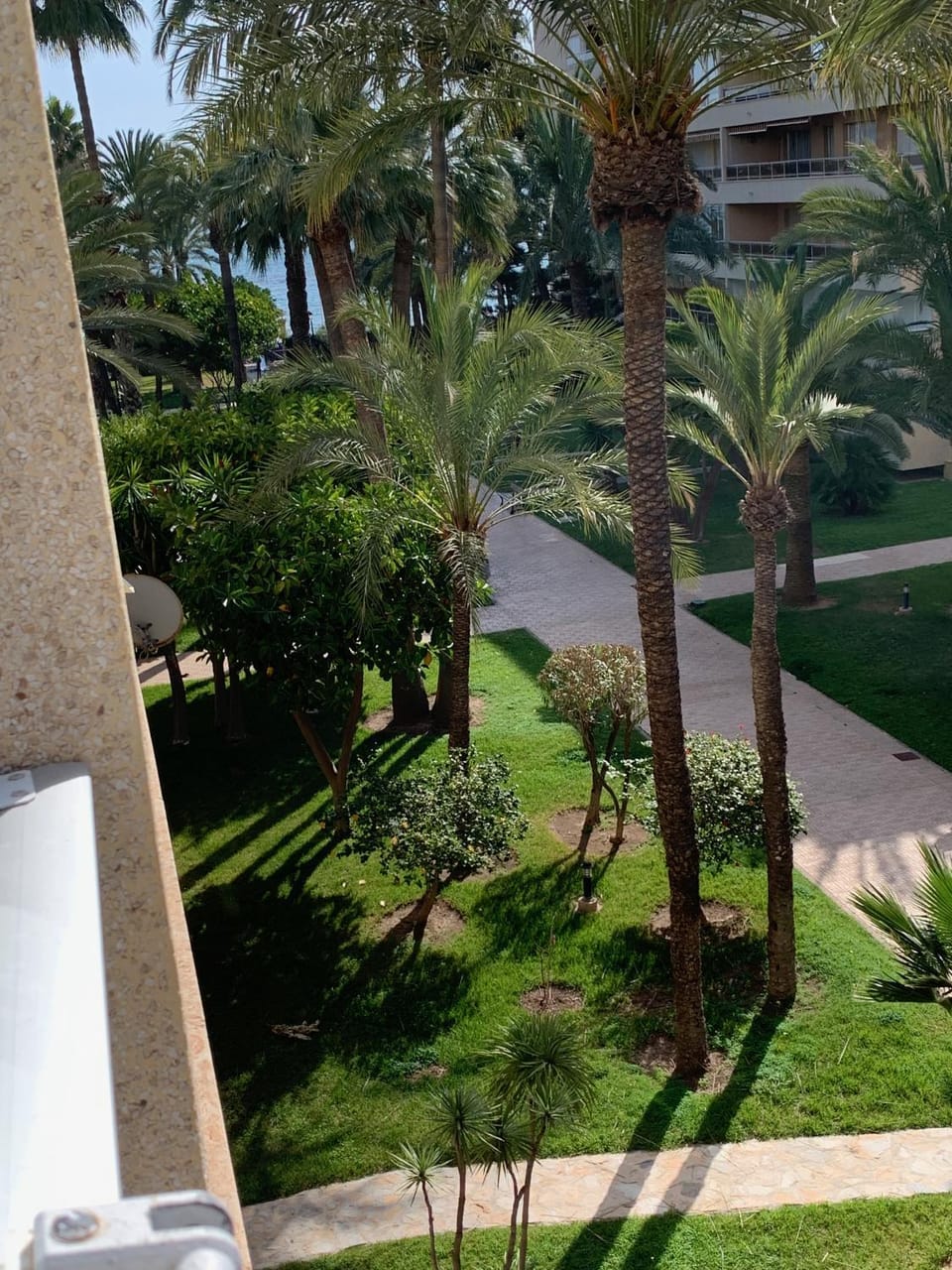 Garden view