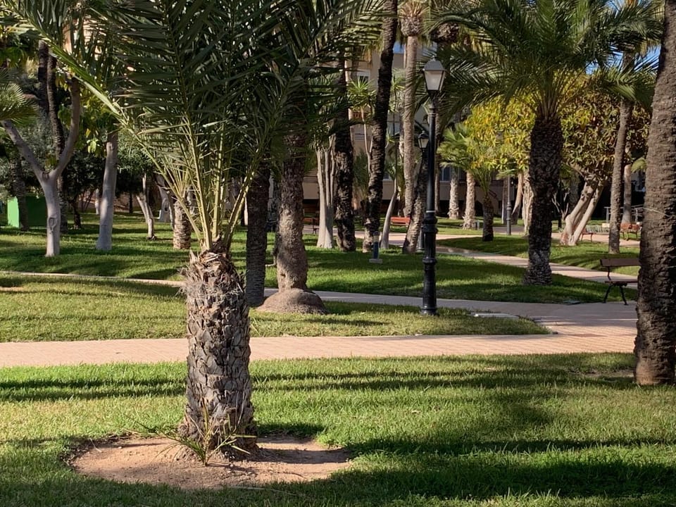 Garden, Garden view