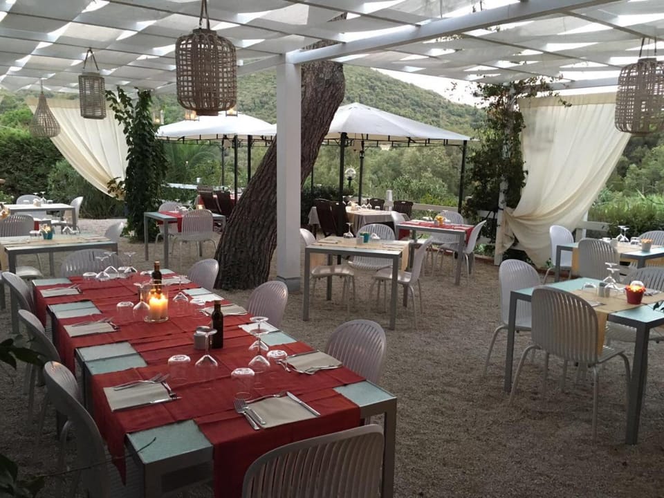 Restaurant/places to eat