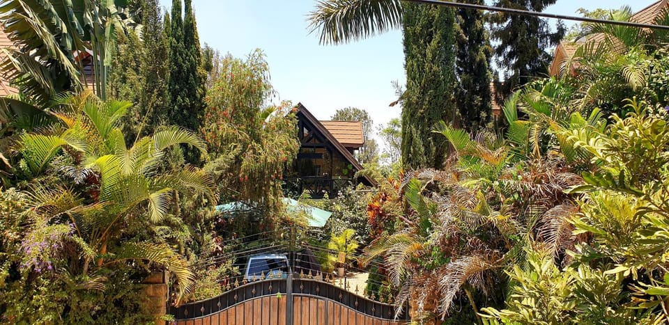 Day, Garden, Garden view, Parking