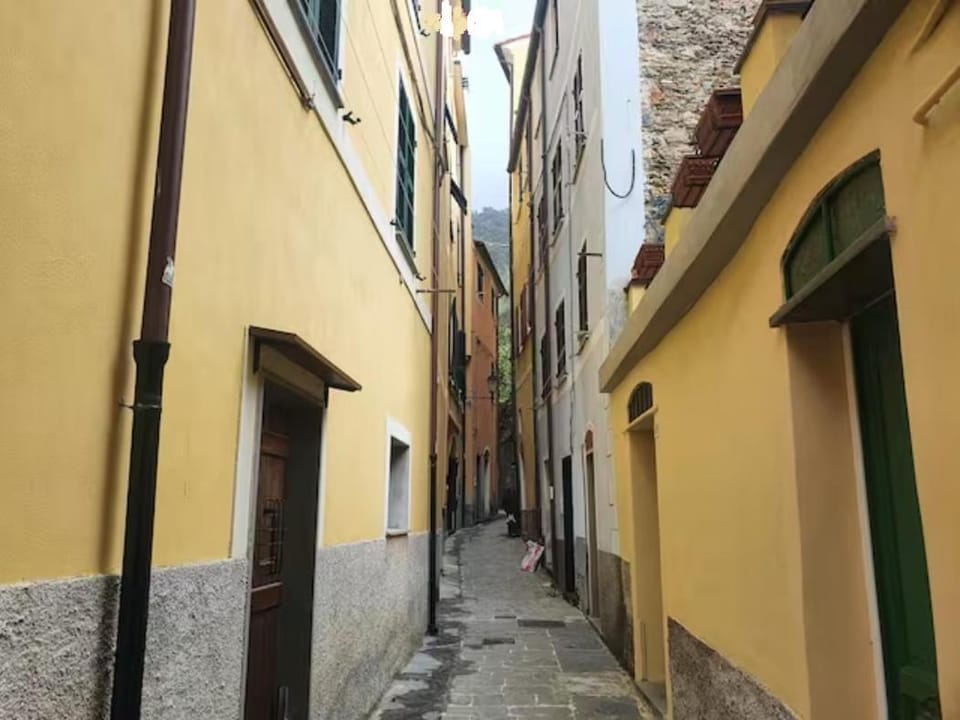 Street view, Street view