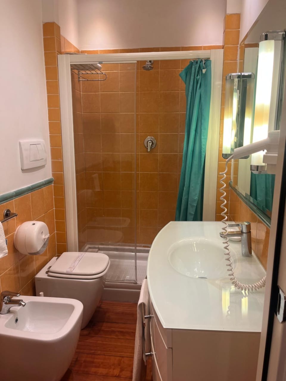 Shower, Toilet, Bathroom, bidet