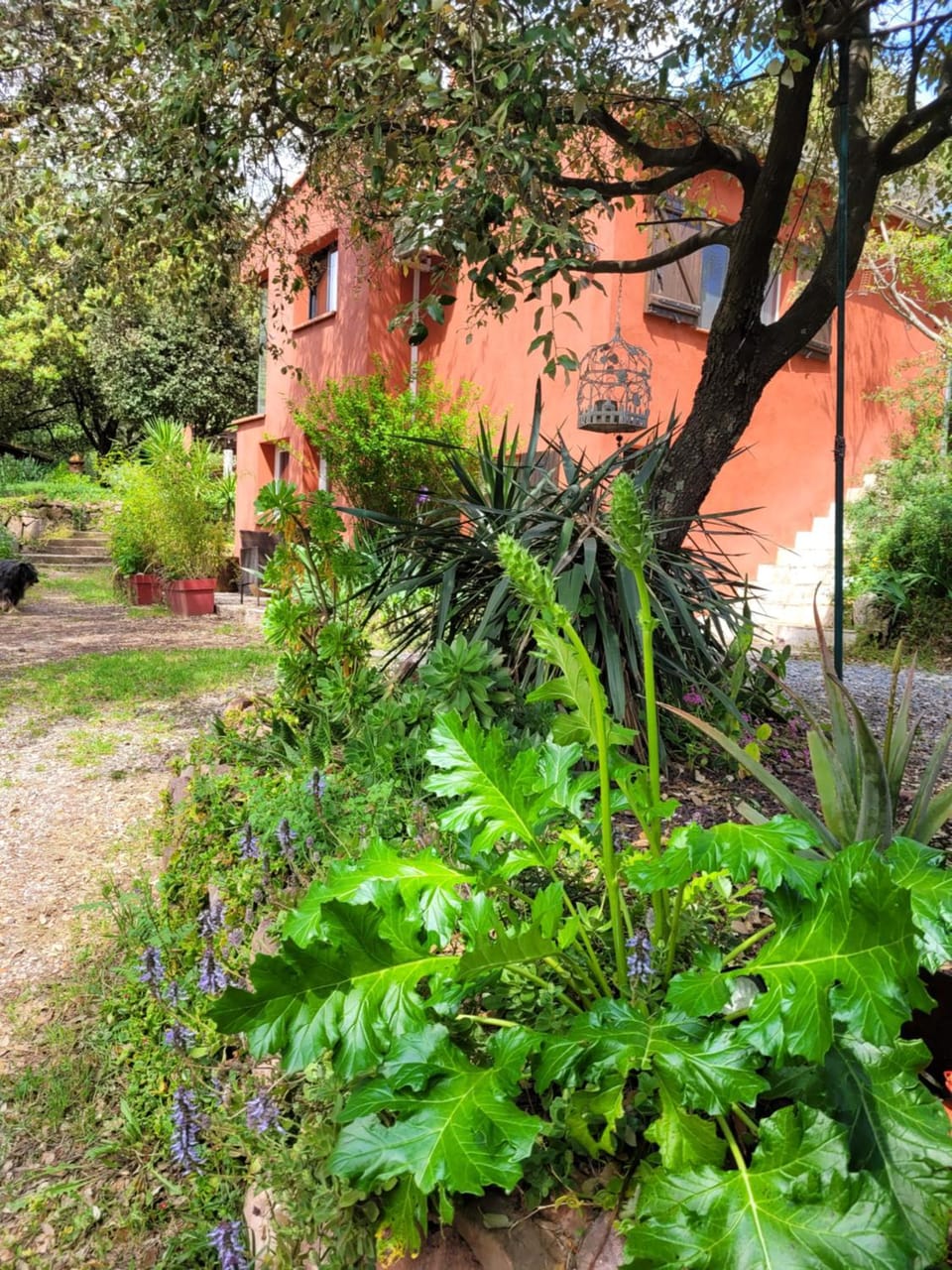 La Salamandre,Charmant T2 Calme et nature à Puget-Ville Apartment in French Riviera