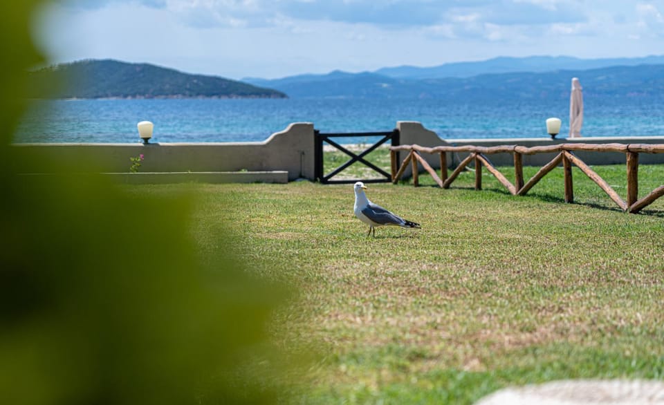 Natural landscape, Beach, Beach