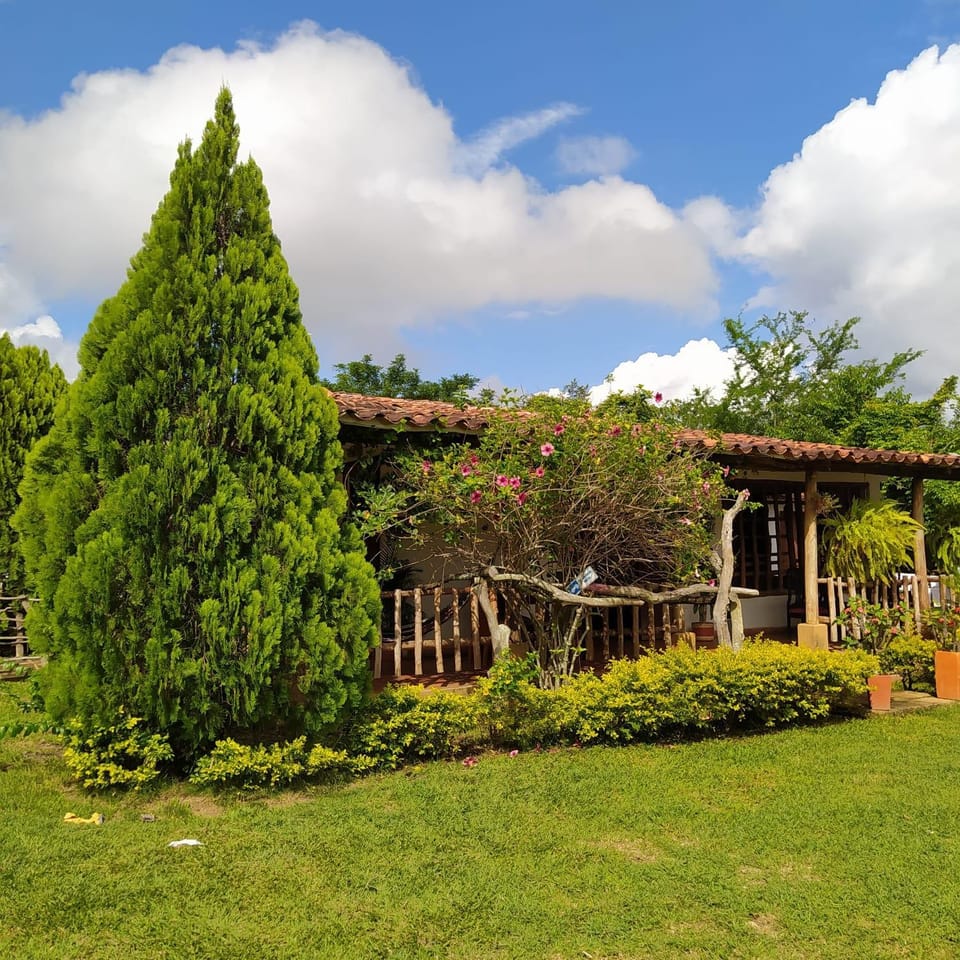 Garden, Garden view