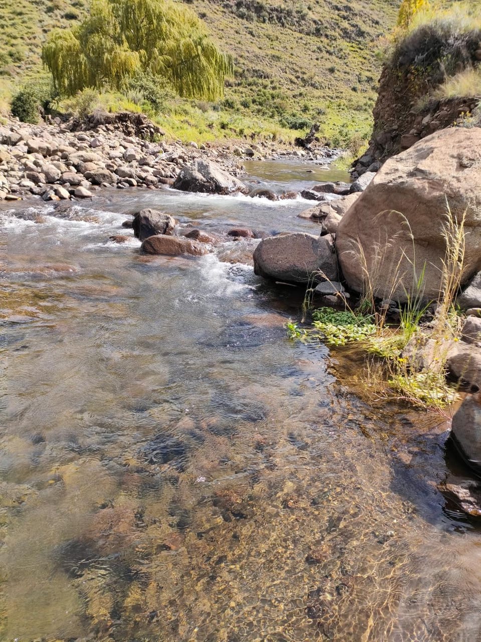 Natural landscape