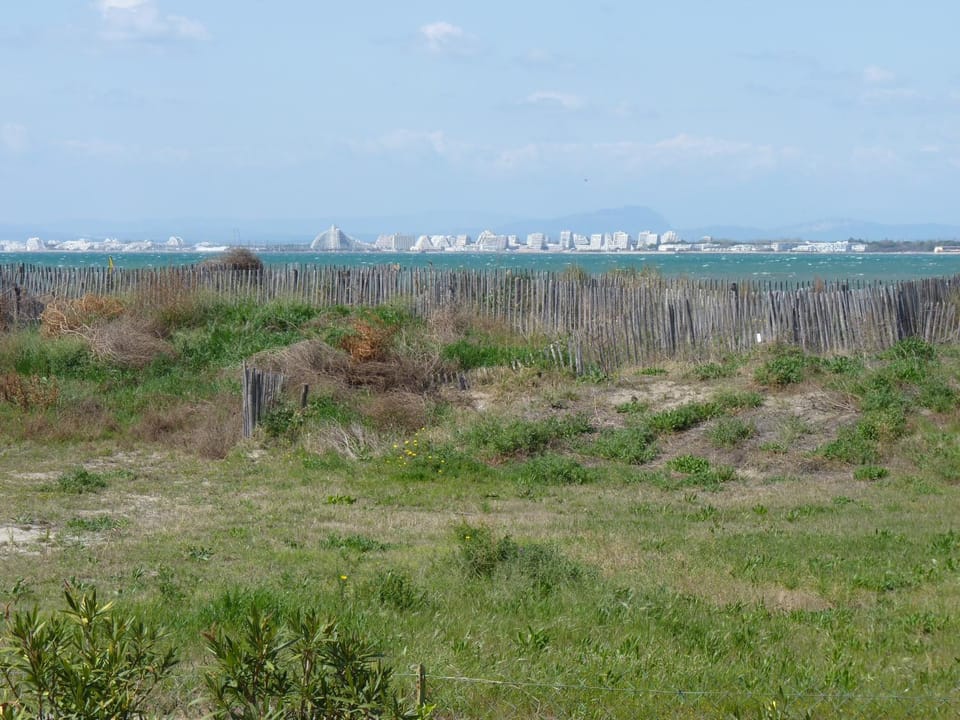Sea view