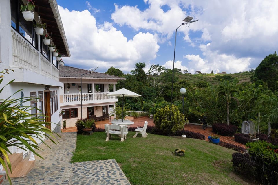 Garden view
