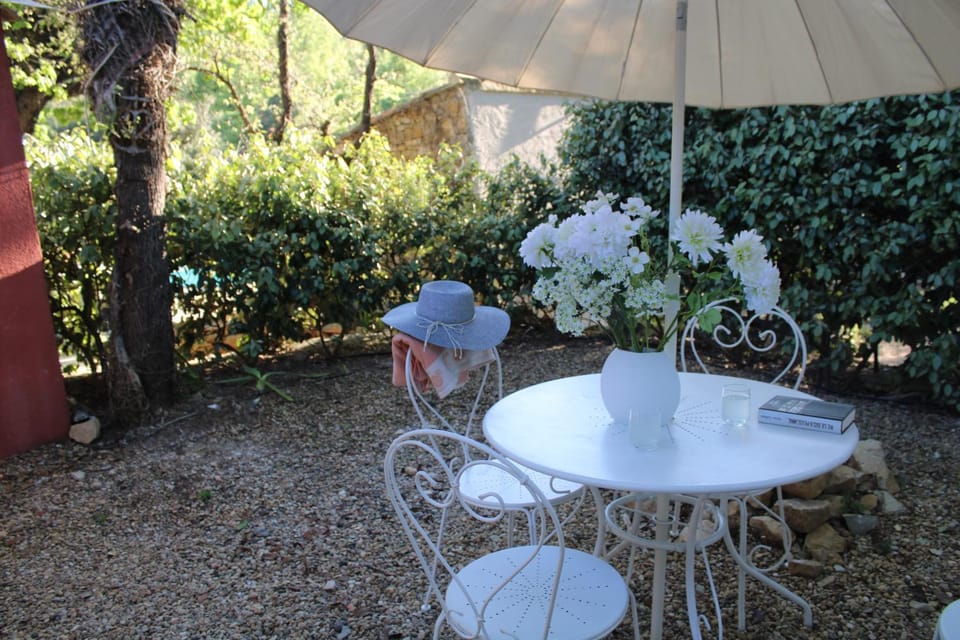 Patio, Garden, Inner courtyard view