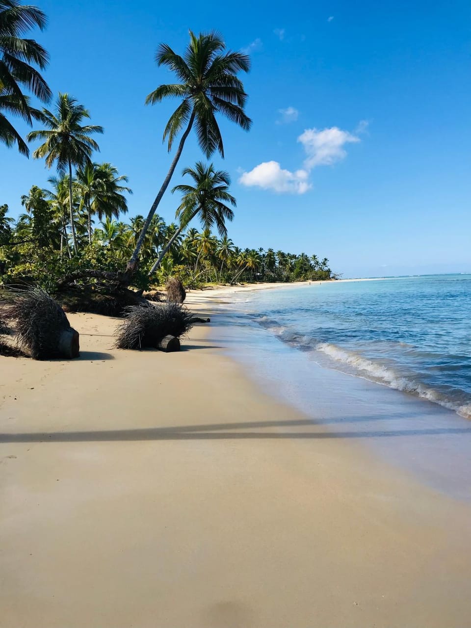 Piece of Paradise House in Samaná Province