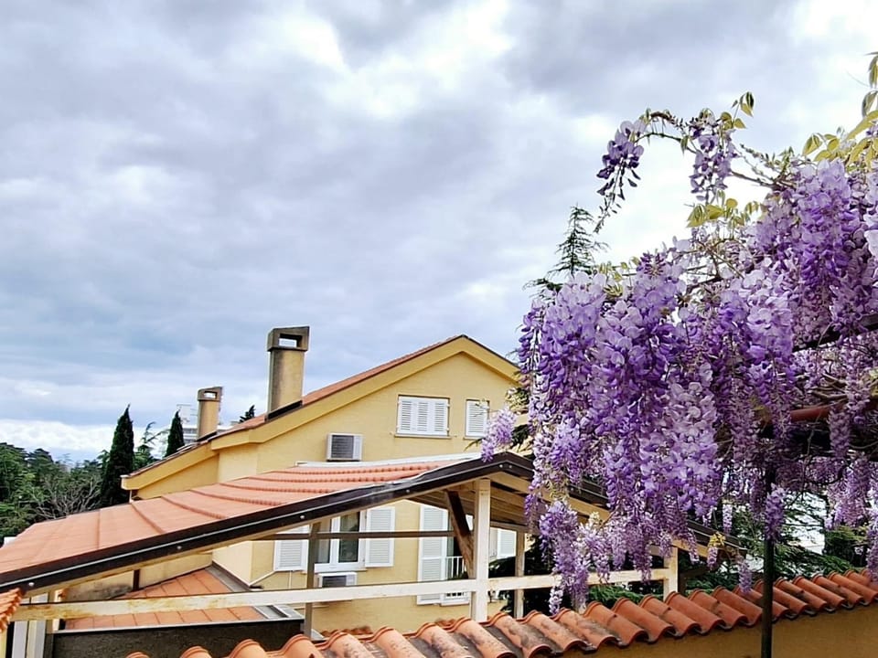 Apartman Rosi Apartment in Crikvenica