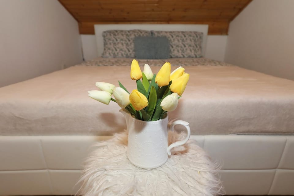 Sea Pearl 1-Ambience Apartment in Šibenik-Knin County, Croatia