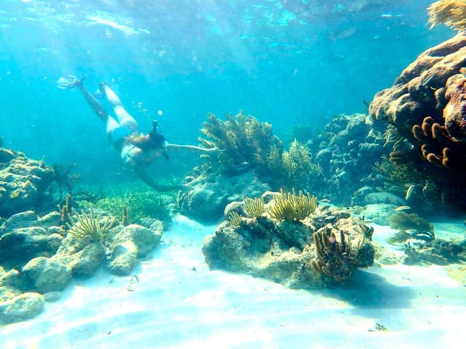 Snorkeling