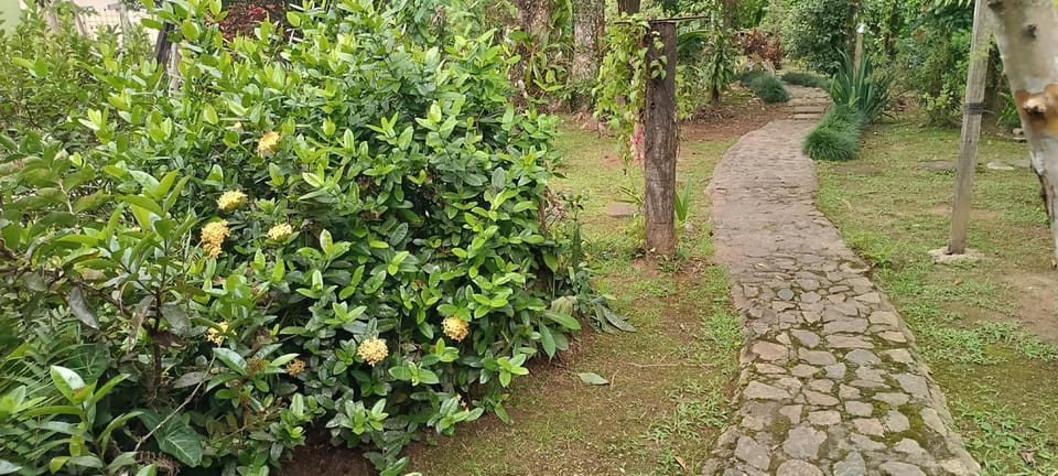 Armazém do Porto Chalé Ixora Bed and Breakfast in State of Paraná