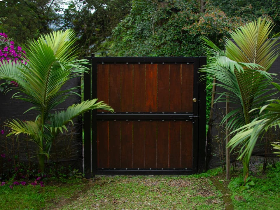Garden, Solarium