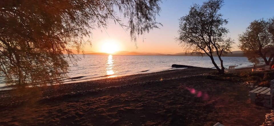 Beach, Sea view, Sunset
