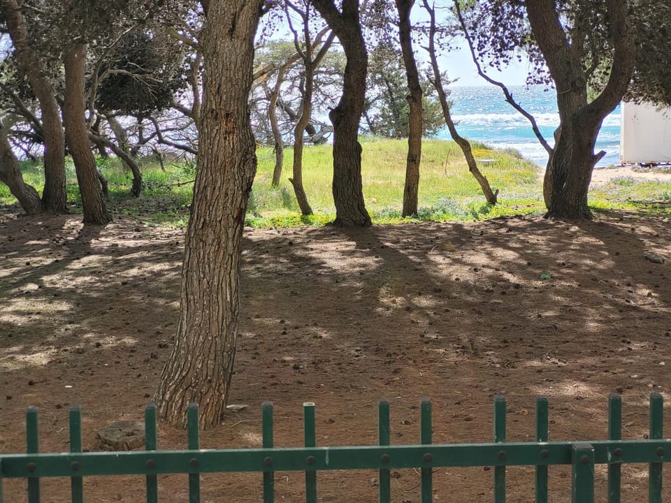 FRONTE PINETA MARE RIVABELLA Apartment in Italy