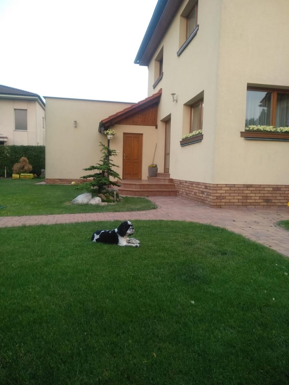 Property building, Facade/entrance, Garden