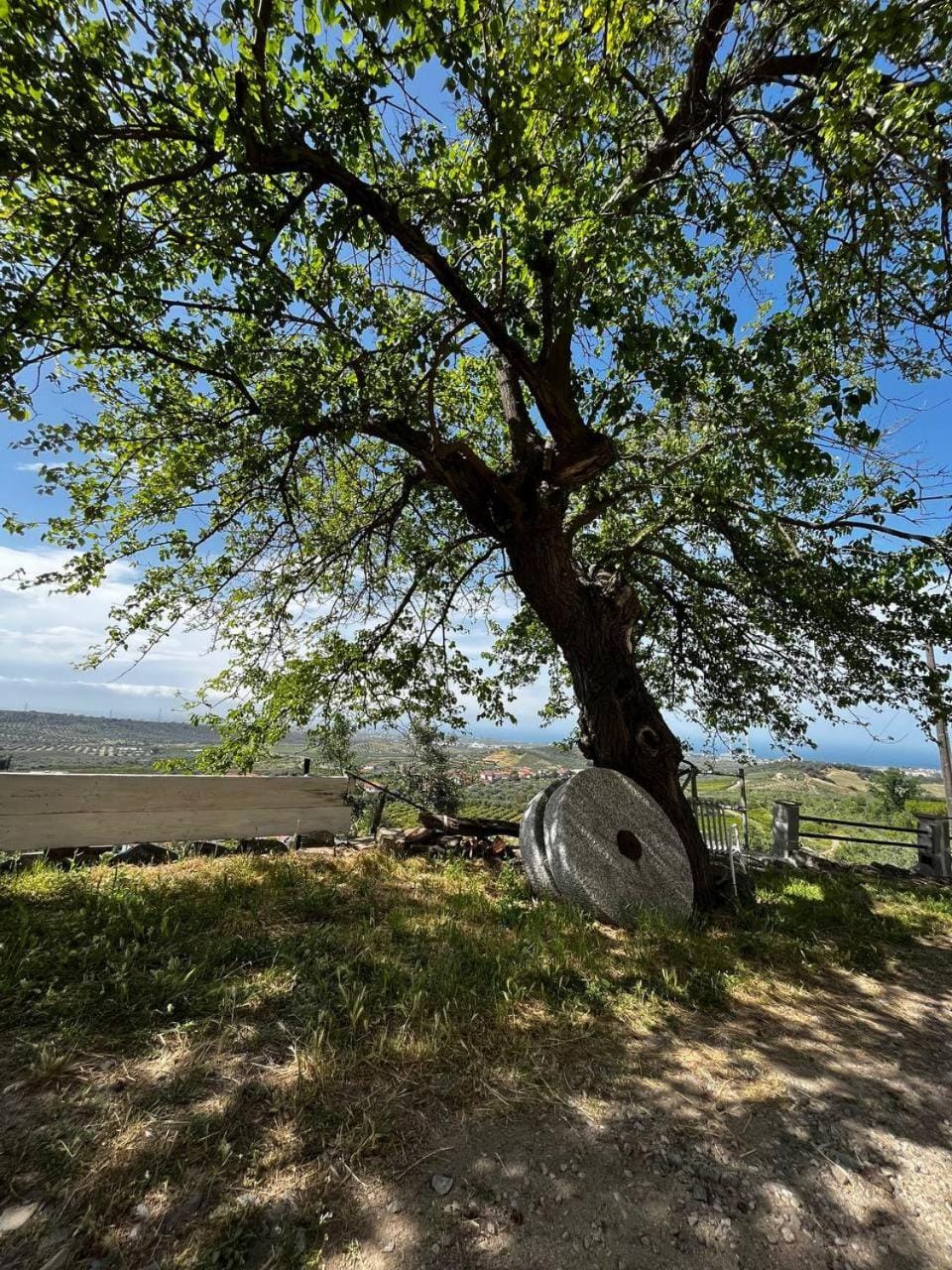Natural landscape