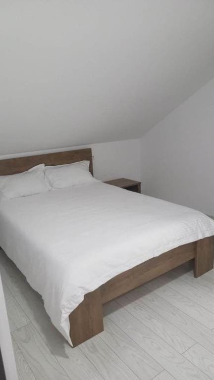 Cazare Paiu VasiVasi Bed and Breakfast in Moldova