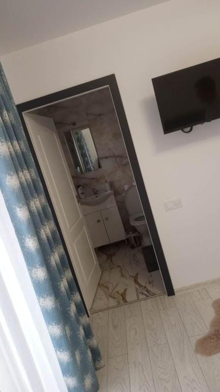 Cazare Paiu VasiVasi Bed and Breakfast in Moldova