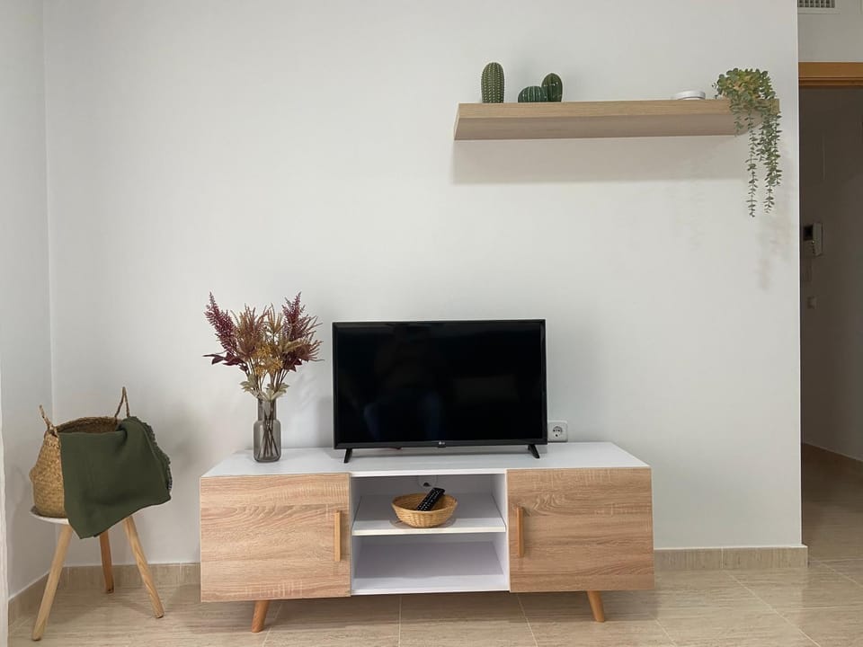 TV and multimedia