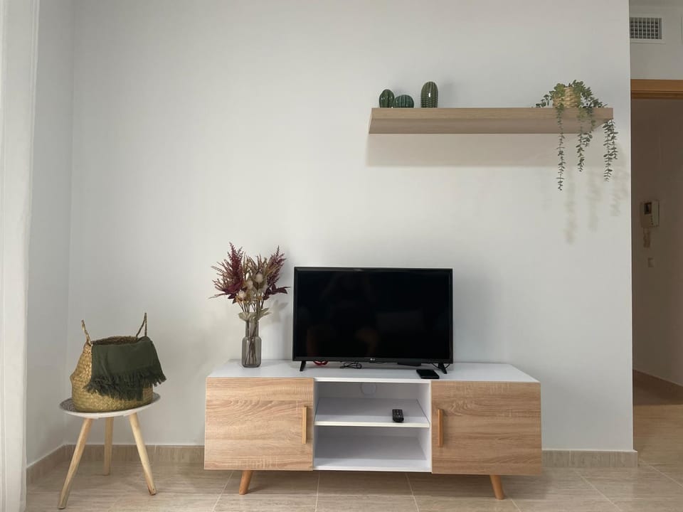 TV and multimedia
