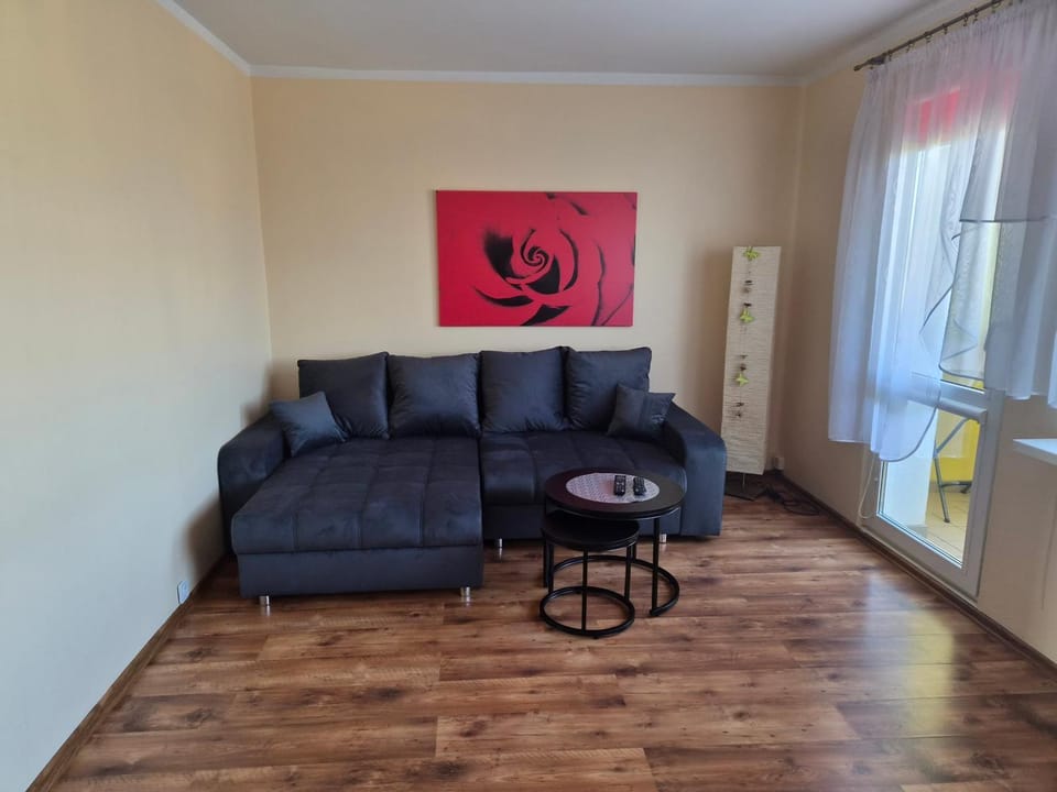Apartament Palisadowa Apartment in Lower Silesian Voivodeship