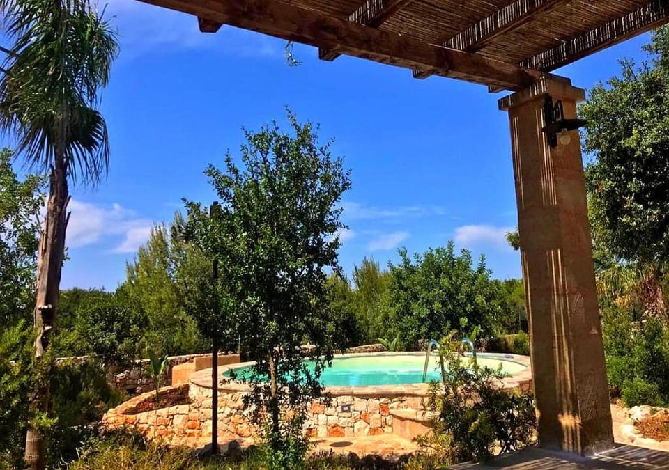Day, Natural landscape, Garden, Garden view, Pool view, Swimming pool