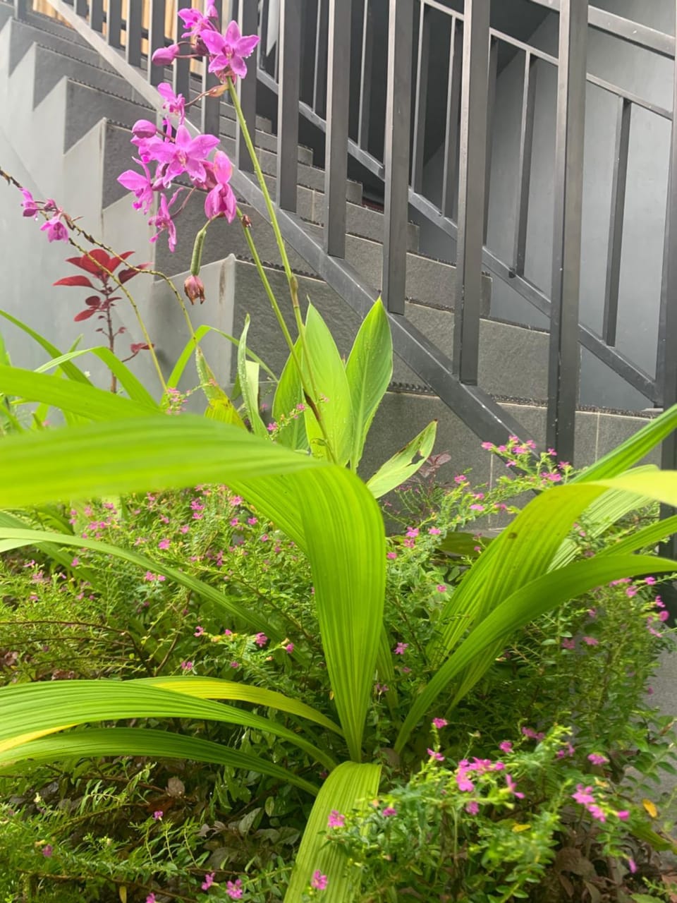 Home Stay Evo Vacation rental in Ubud