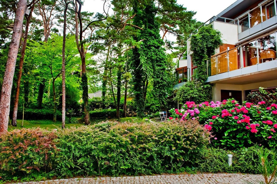Property building, Garden