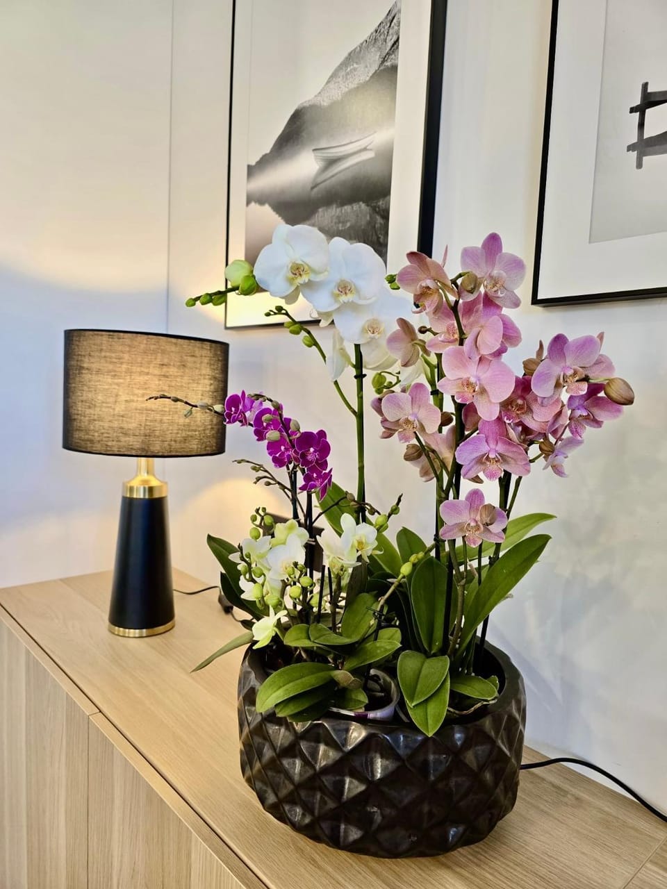 Alėjos Apartmentai Comfort Apartment in Lithuania