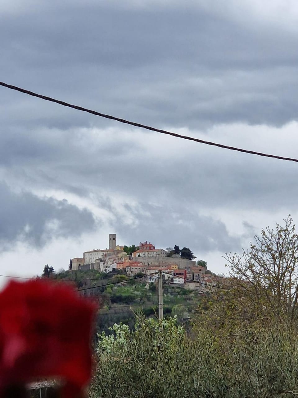 Apartman Sandro Apartment in Istria County