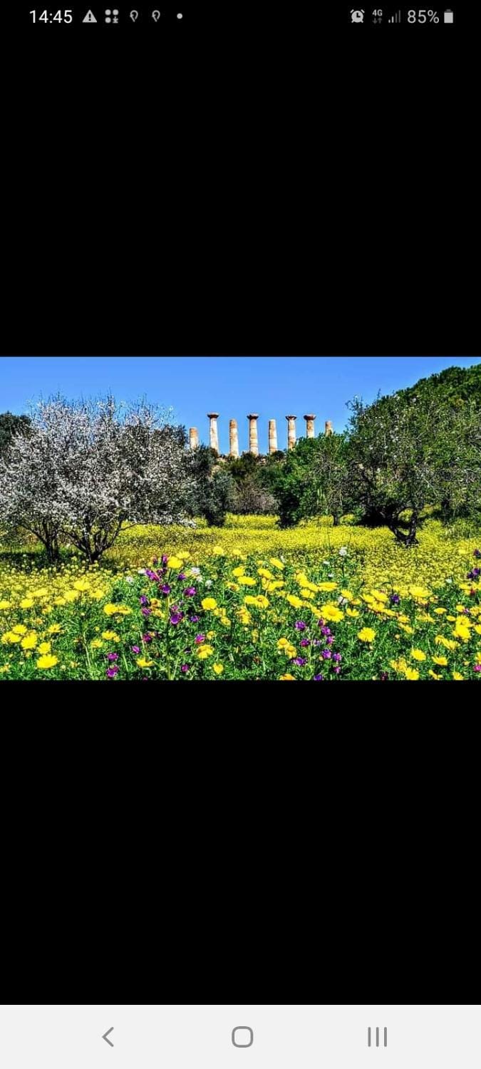 D'ALTRITEMPI-Elegance in Cianciana. Apartment in Sicily