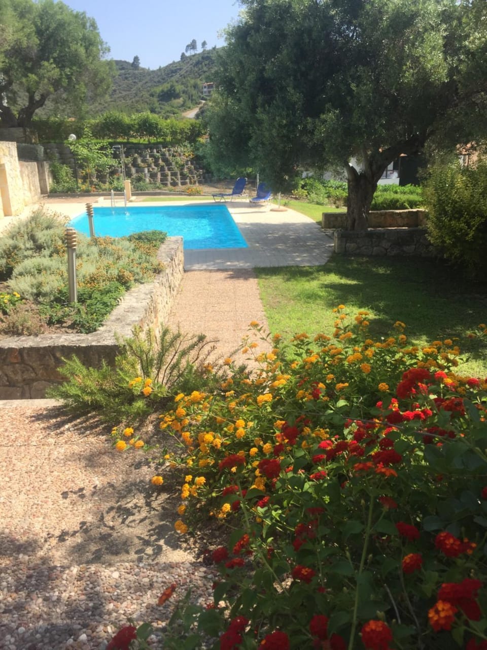 Pool view
