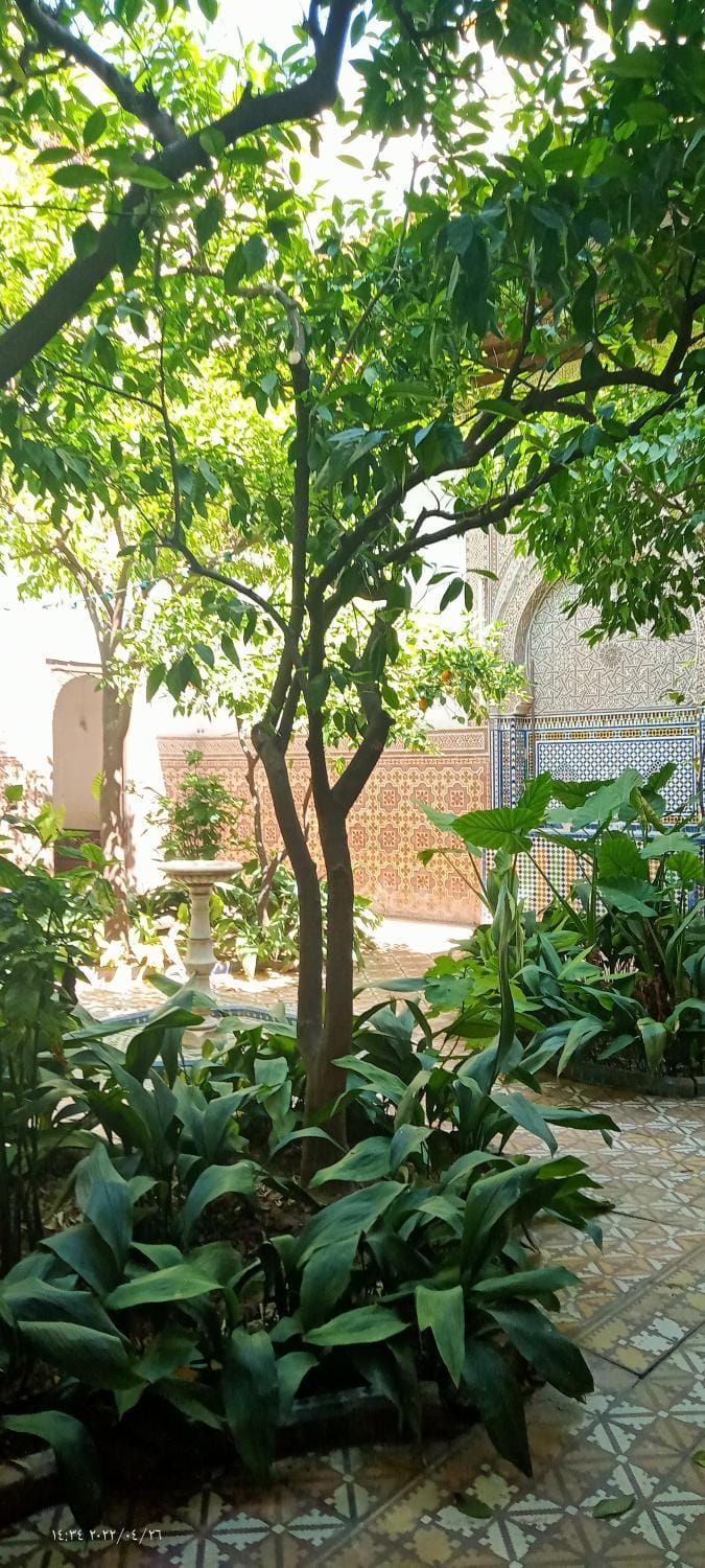 Riad Dar Zaida Bed and Breakfast in Marrakesh