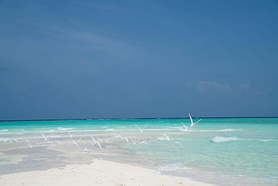 Natural landscape, Beach, Sea view