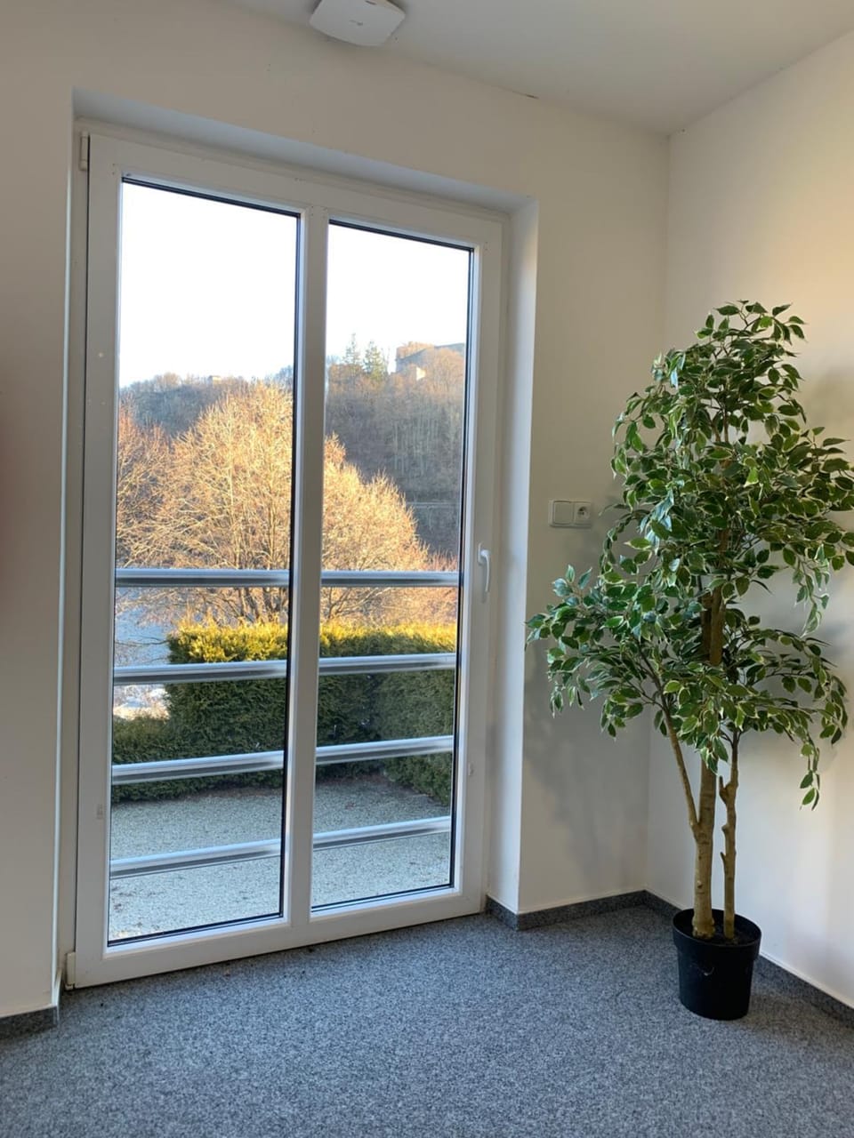 Garden view