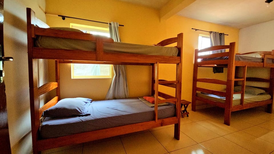 Bed, Photo of the whole room, Bedroom, bunk bed