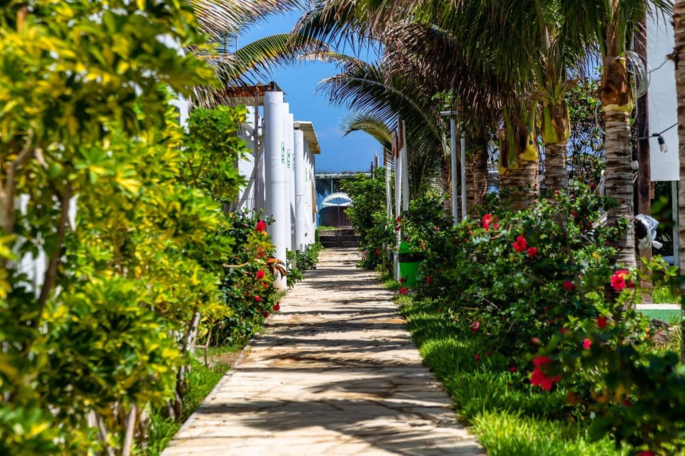 Garden view