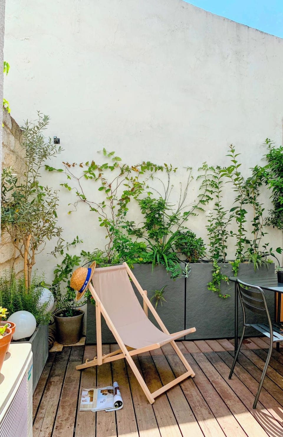 Patio, Day, sunbed