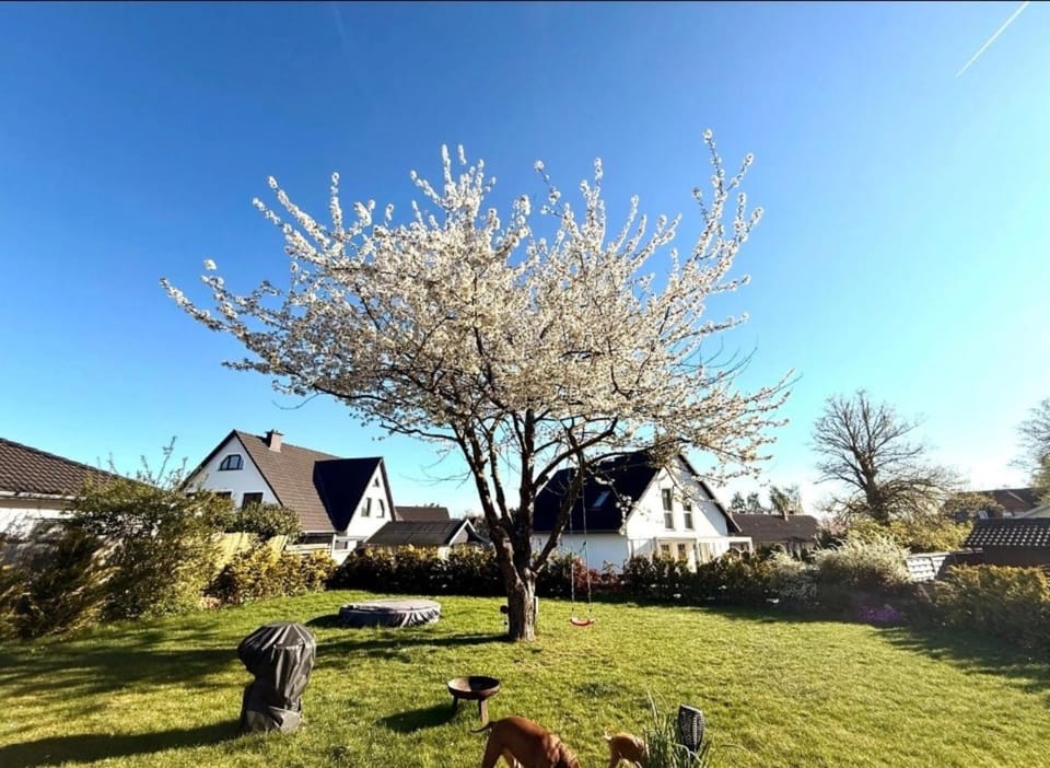Zu Fuß zum Strand - familienfreundlich zwischen Wismar und Boltenhagen Wallbox am Haus! House in Mecklenburg-Vorpommern, Germany